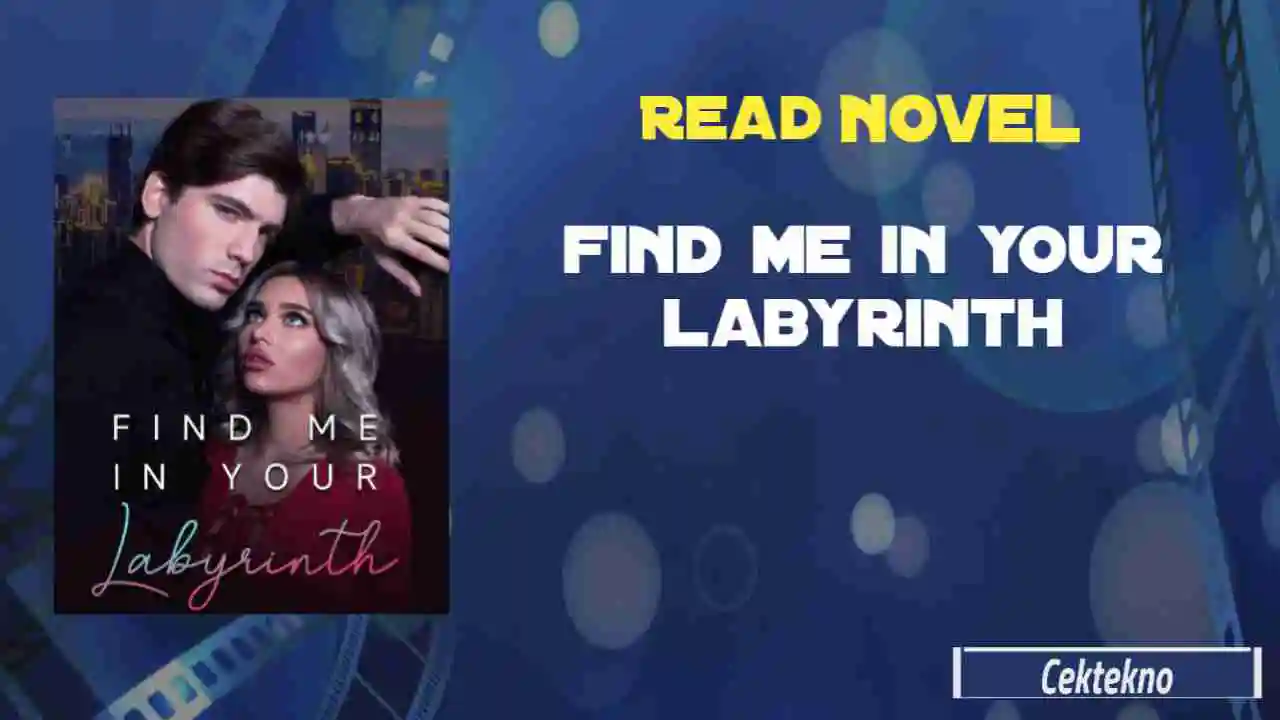 Read Find Me In Your Labyrinth Novel Full Chapters