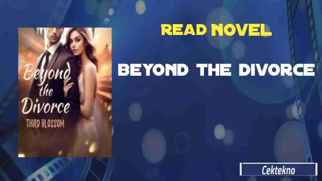 Beyond The Divorce Novel By Third Blossom Read Online En Cektekno 2954