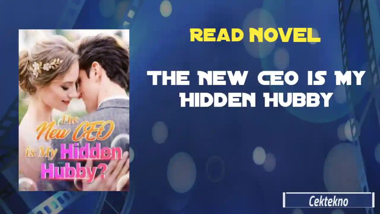 The New CEO is My Hidden Hubby Novel by Merliee Claws Read Online