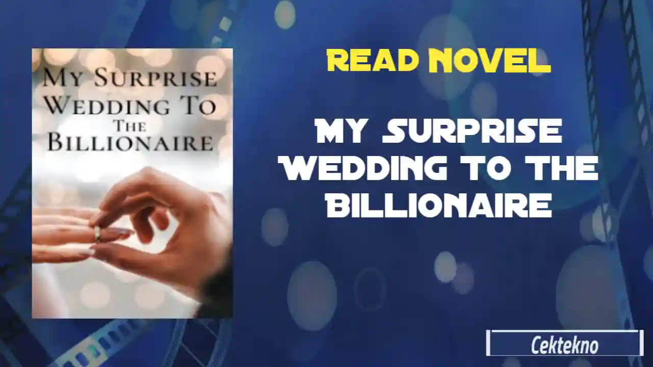 My Surprise Wedding To The Billionaire Novel by Francis Templeton Read Online