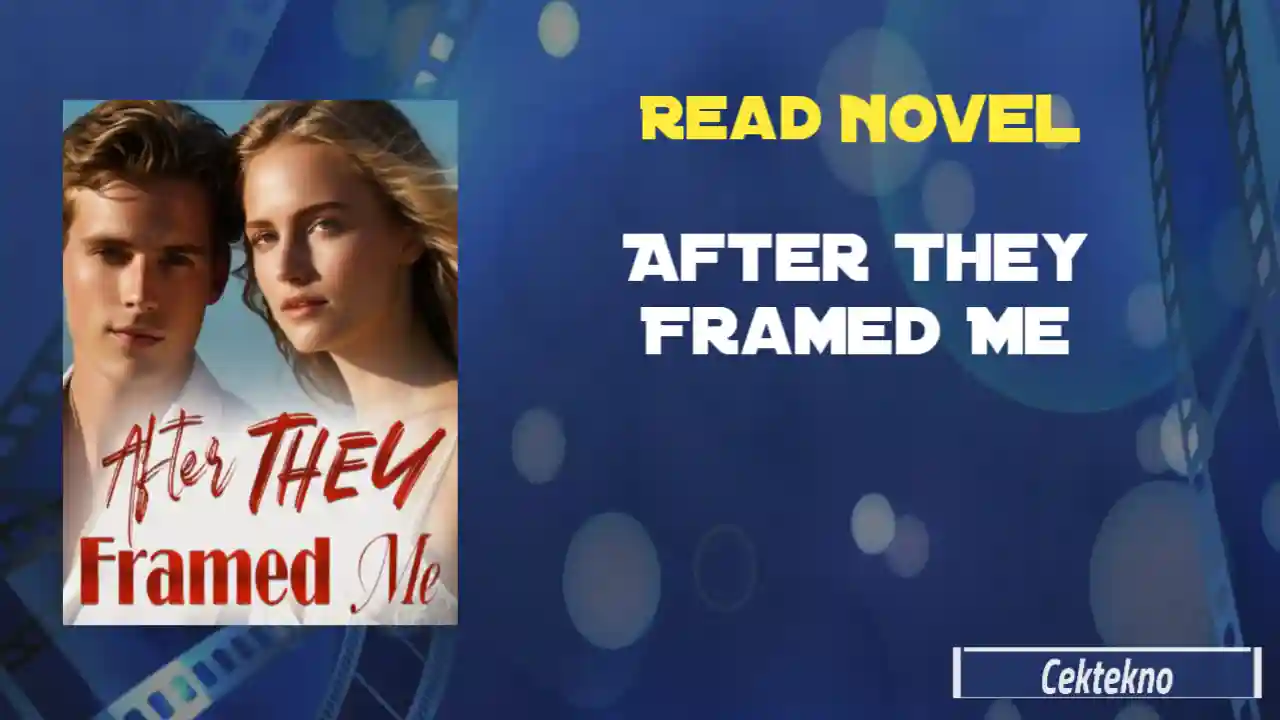 After They Framed Me Novel by Patricia Sue Read Online