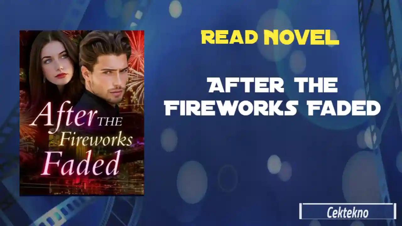 After the Fireworks Faded Novel by Verity Read Online