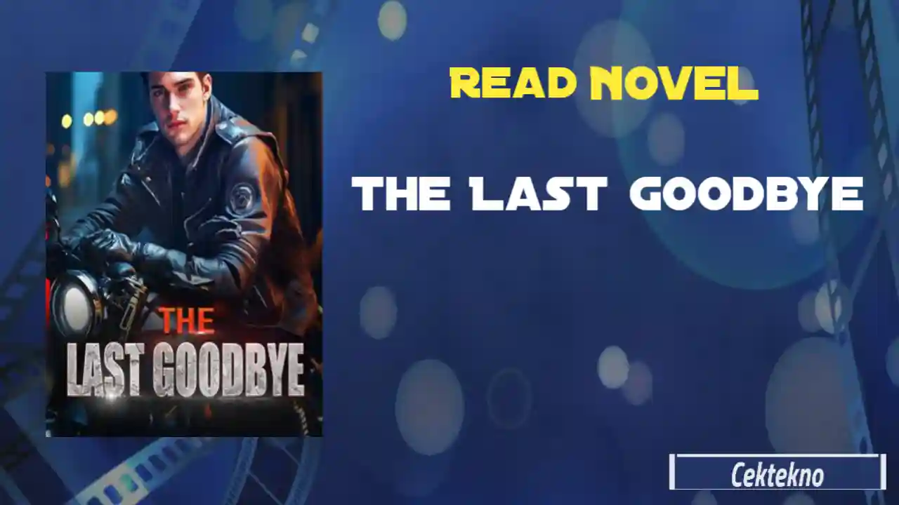 The Last Goodbye Novel Read Online