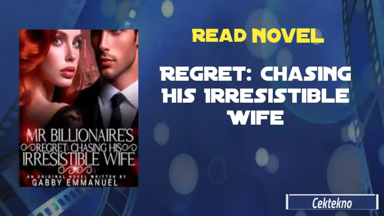 Mr Billionaire’s Regret: Chasing His Irresistible Wife Novel by Gabby Emmanuel Read Online