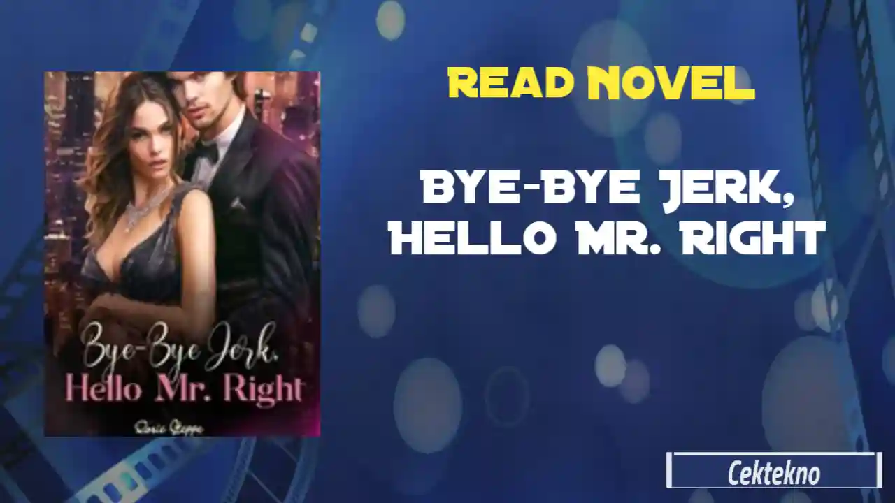 Bye-Bye Jerk Hello Mr. Right Novel by Rosie Steppe Read Online