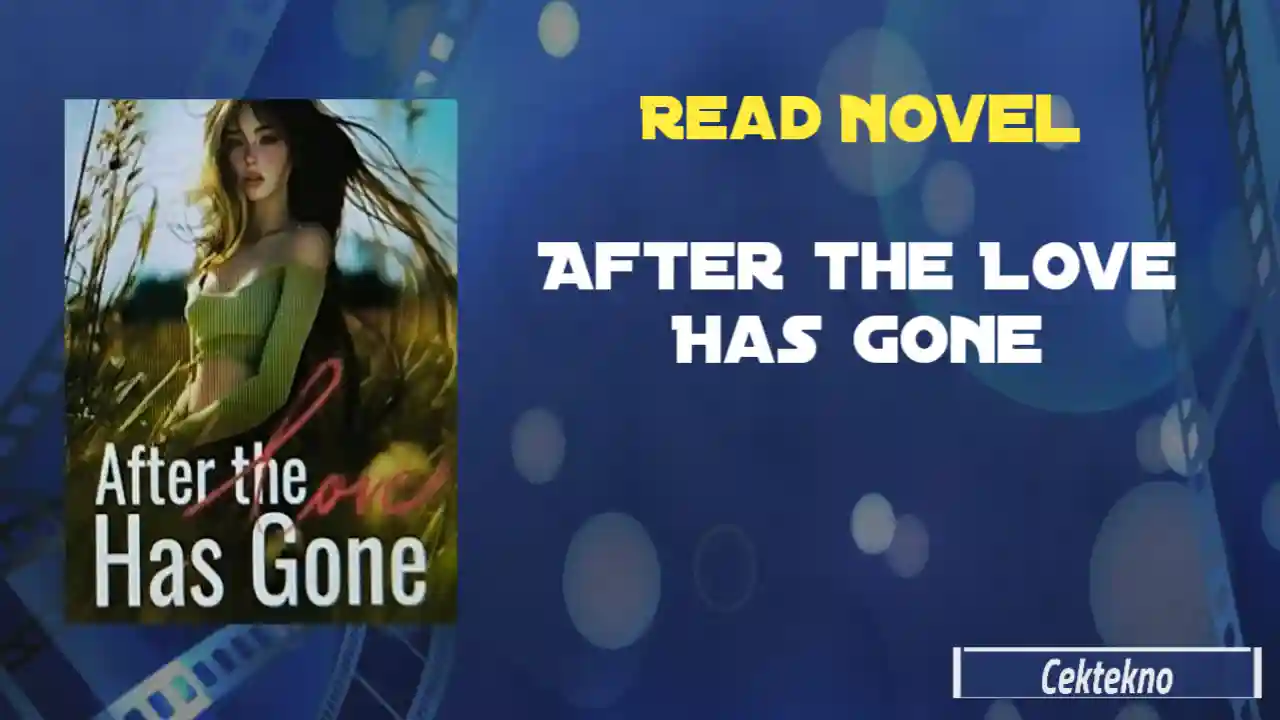 After the Love Has Gone Novel Read Online